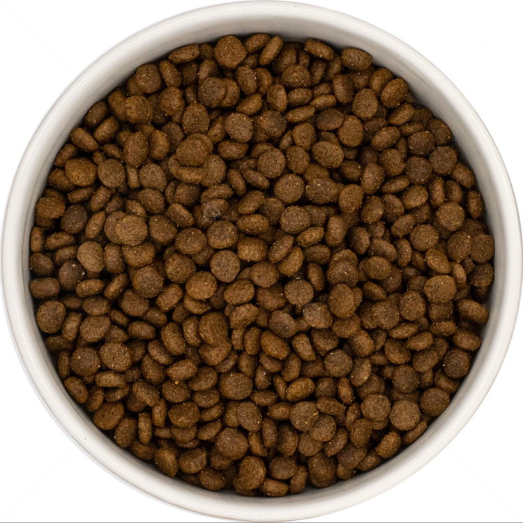 DOG VISION Adult Small 2 кг Duck, Sweet Potato & Orange