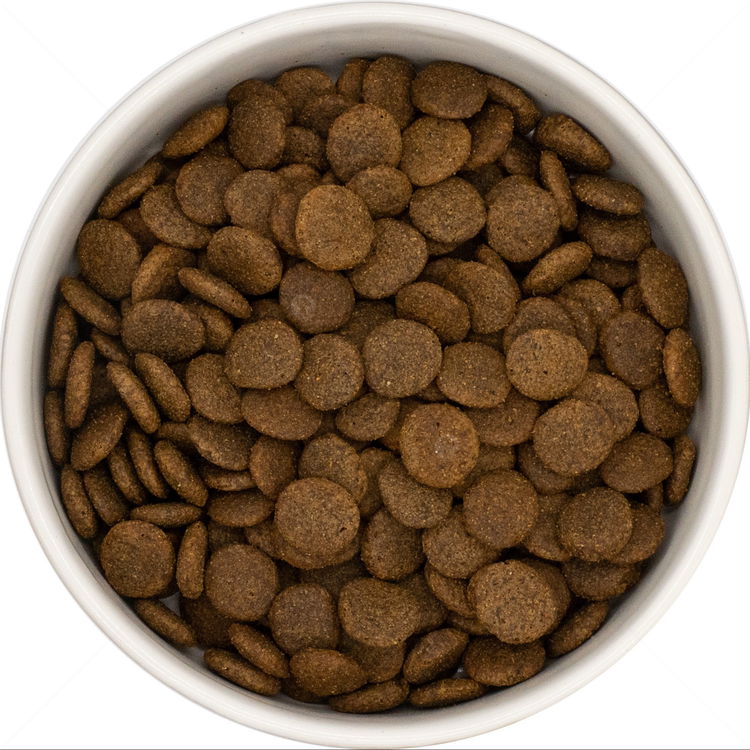 DOG VISION Adult 12 кг Venison, Sweet Potato & Mulberry