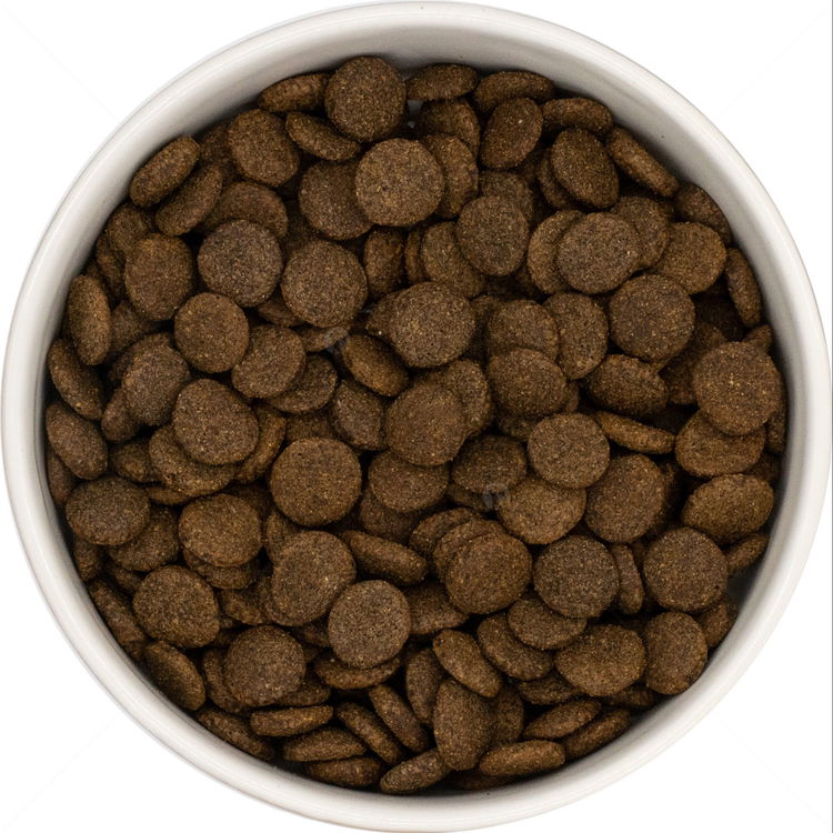 DOG VISION Adult Light 2 кг Turkey, Sweet Potato & Cranberry