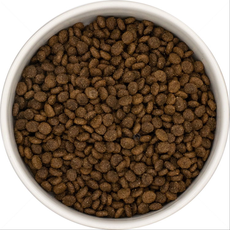 DOG VISION Adult Small 6 кг Lamb, Sweet Potato & Mint