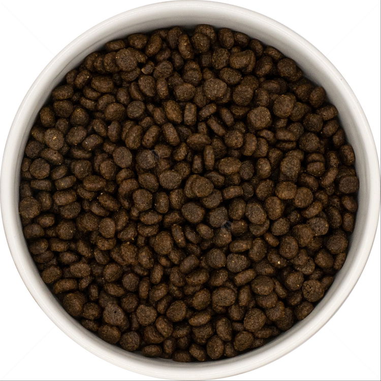 DOG VISION Adult Small 6 кг Salmon, Trout, Sweet Potato & Asparagus