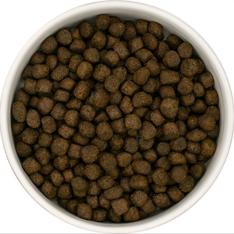 DOG VISION Puppy 6 кг Salmon, Haddock, Blue Whiting, Sweet Potato & Asparagus