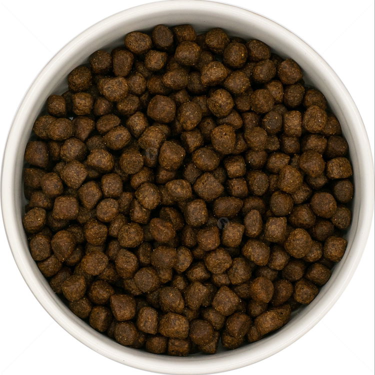 DOG VISION Puppy 2 кг Chicken, Turkey, Salmon, Sweet Potato & Carrot