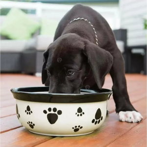 Вода за уста и свеж дъх с мента и карамфил 500 мл VET'S BEST Breath Freshener