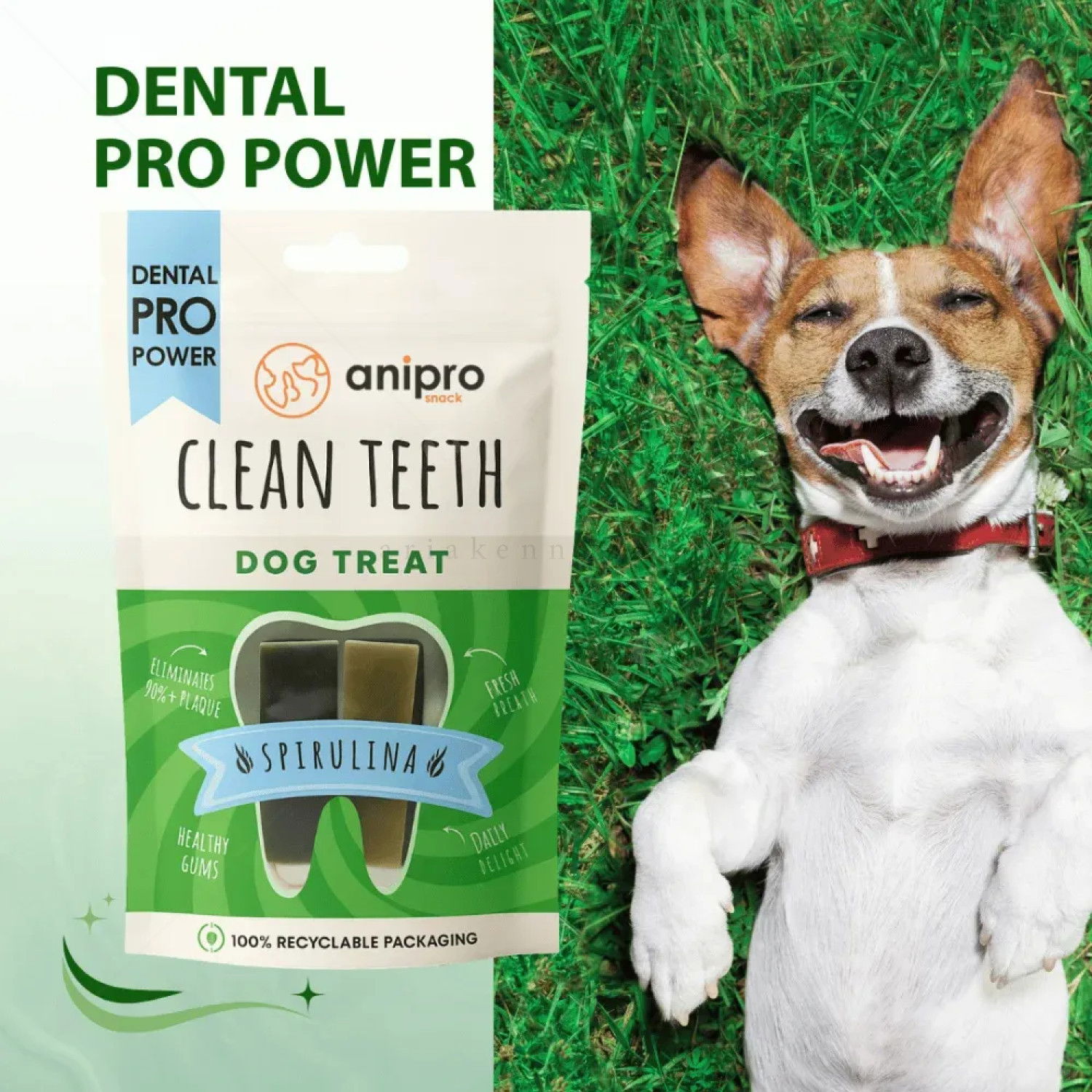 Меки дъвчащи лакомства със спирулина ANIPRO Dental Pro Power Soft chewy dental treats with spirulina, 84 гр