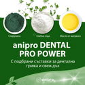 Меки дъвчащи лакомства със спирулина ANIPRO Dental Pro Power Soft chewy dental treats with spirulina, 84 гр