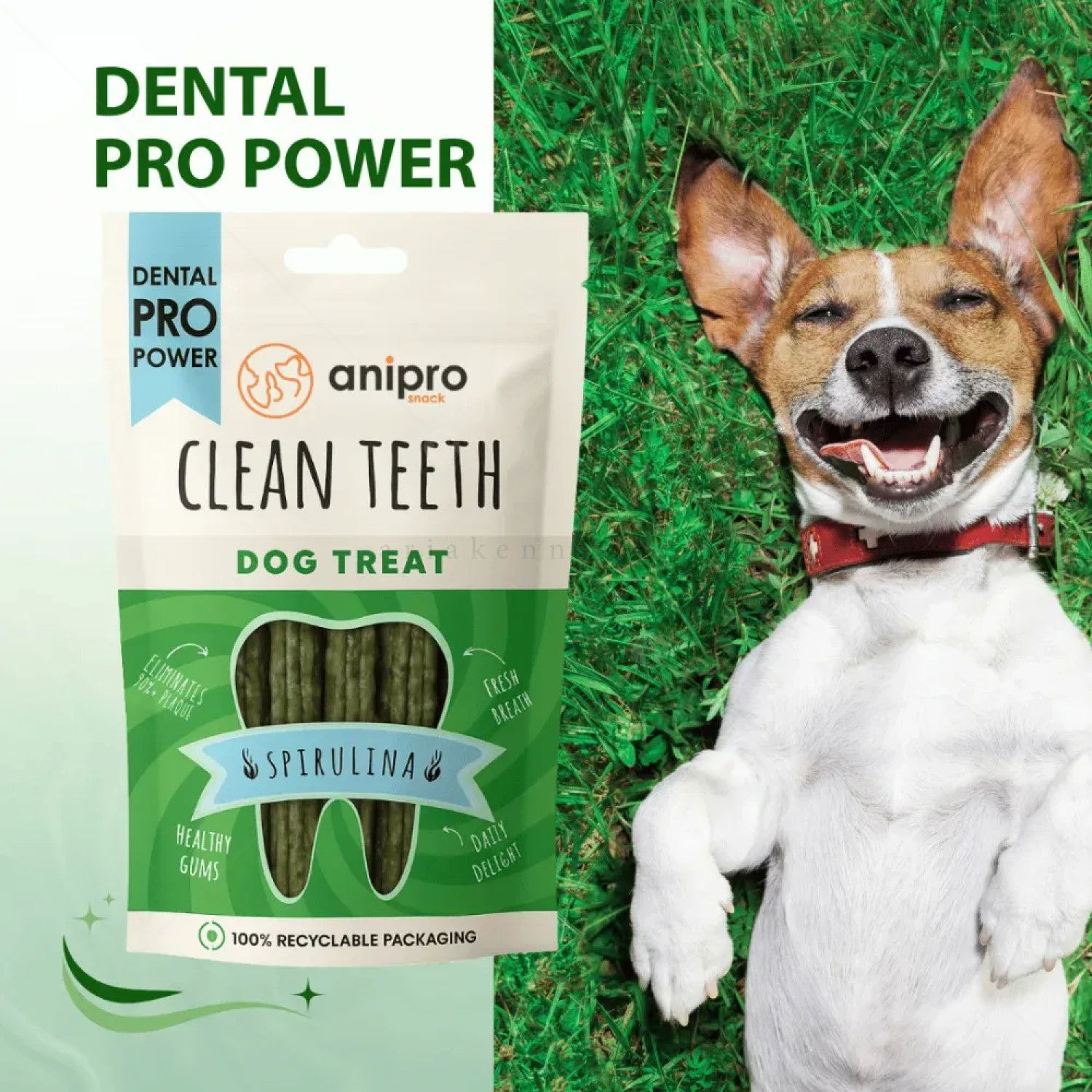 Пурички със спирулина ANIPRO Dental Pro Power Puffed sticks with spirulina, 84 гр
