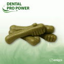 Дентални четки със спирулина ANIPRO Dental Pro Power Dental brush with spirulina, 84 гр
