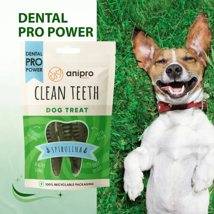 Дентални четки със спирулина ANIPRO Dental Pro Power Dental brush with spirulina, 84 гр