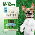 Дентални четки със спирулина ANIPRO Dental Pro Power Dental brush with spirulina, 84 гр