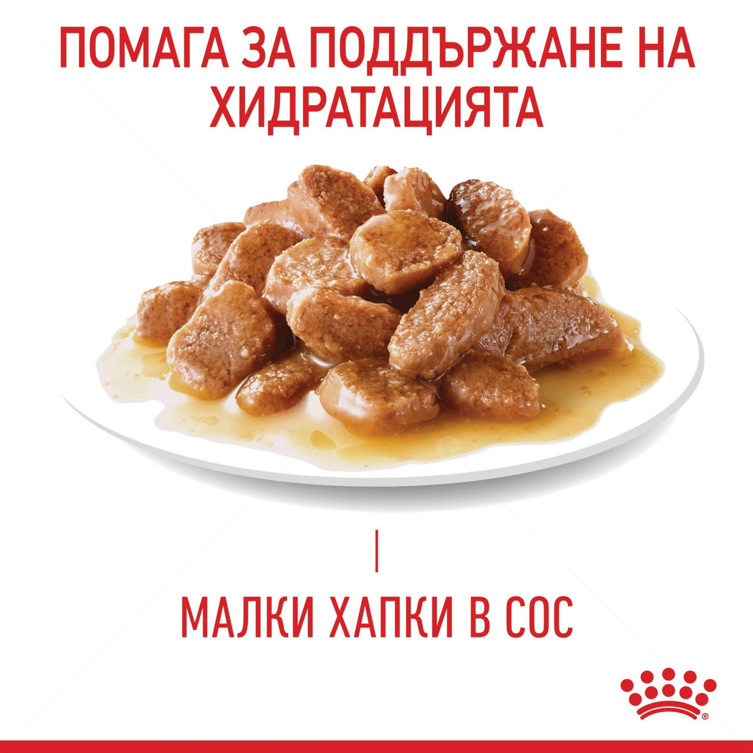 ROYAL CANIN® Hair&Skin 85 гр пауч в сос грейви