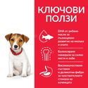 Тестов комплект за малки кученца от дребни породи HILL’S SP Puppy Small&Mini 0.300 кг Chicken
