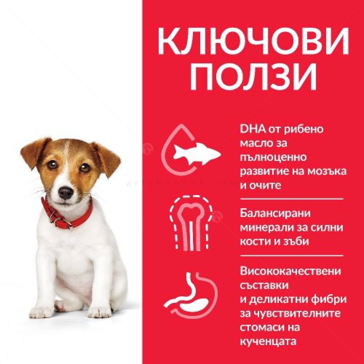 Тестов комплект за малки кученца от дребни породи HILL’S SP Puppy Small&Mini 0.300 кг Chicken