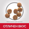 Тестов комплект за малки кученца от дребни породи HILL’S SP Puppy Small&Mini 0.300 кг Chicken