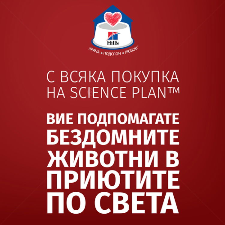 Тестов комплект за израснали кучета от дребни породи HILL’S SP Adult Small & Mini 0.300 кг Lamb