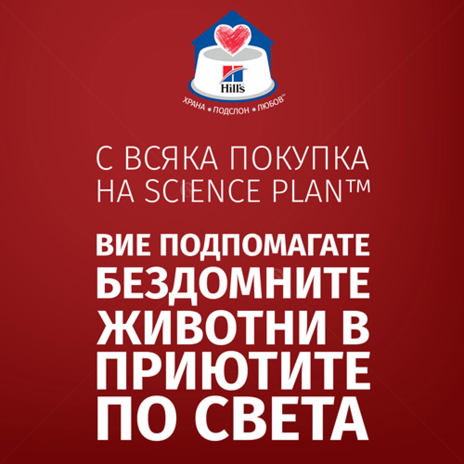 Тестов комплект за израснали кучета от дребни породи HILL’S SP Adult Small & Mini 0.300 кг Lamb