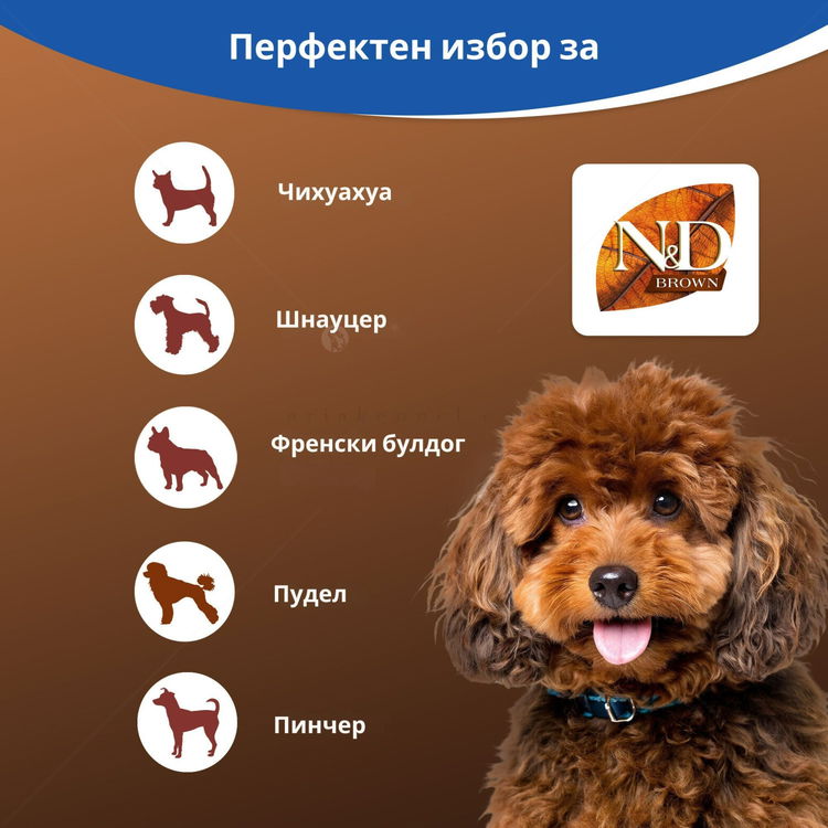 Храна за кучета с кафява козина 5 кг N&D Brown Dog Spirulina Adult Mini, Lamb and carrot