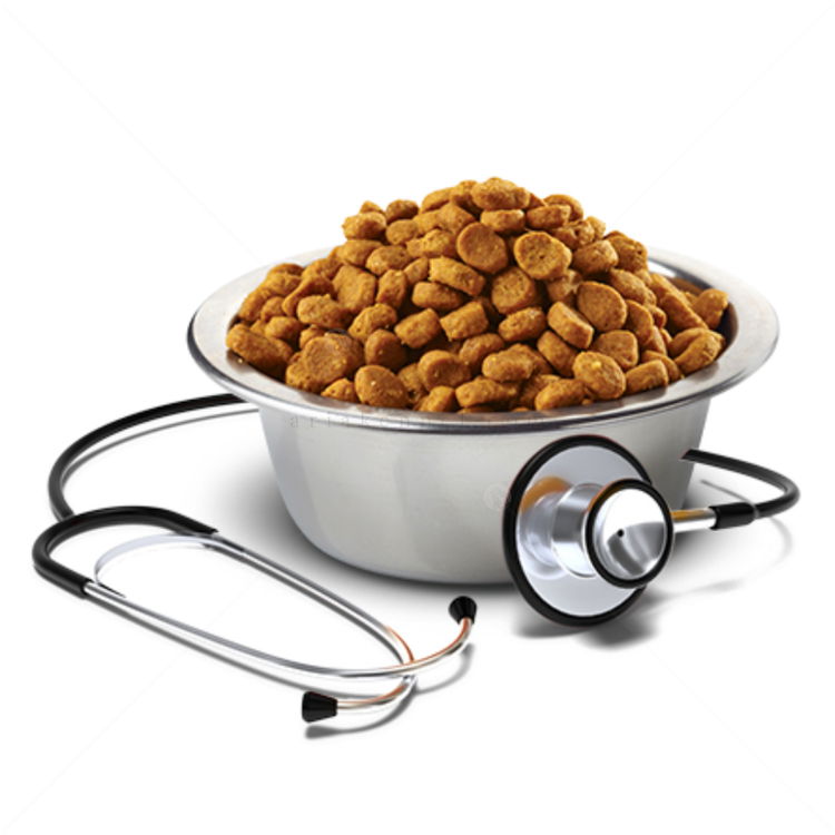 VET LIFE Canine Renal 2 кг