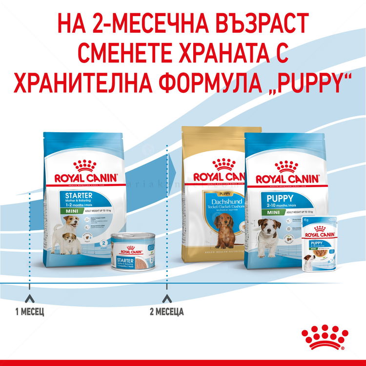 ROYAL CANIN Mini Starter Mother & Babydog - 1 кг
