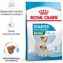 ROYAL CANIN Mini Starter Mother & Babydog - 4 кг