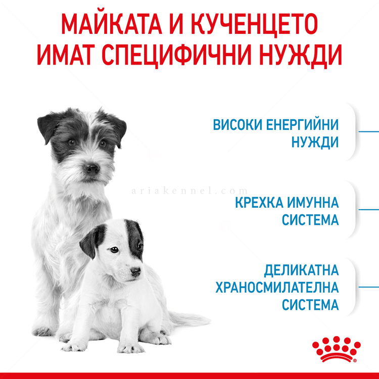 ROYAL CANIN Mini Starter Mother & Babydog - 4 кг