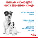 ROYAL CANIN Mini Starter Mother & Babydog - 4 кг