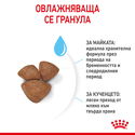 ROYAL CANIN Mini Starter Mother & Babydog - 4 кг