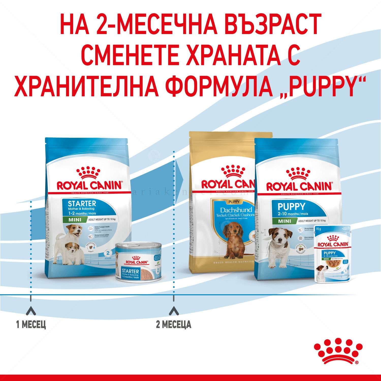 ROYAL CANIN Mini Starter Mother & Babydog - 4 кг