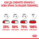ROYAL CANIN Mini Starter Mother & Babydog - 8 кг