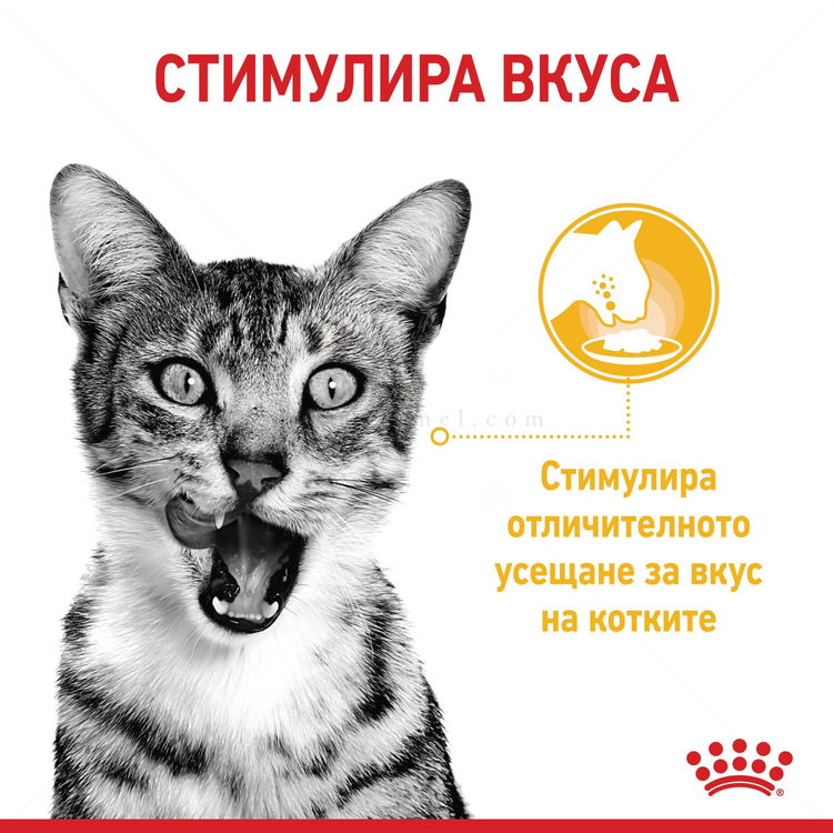 ROYAL CANIN Sensory Taste 85 гр пауч в сос грейви