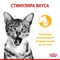 ROYAL CANIN Sensory Taste 85 гр пауч в сос грейви