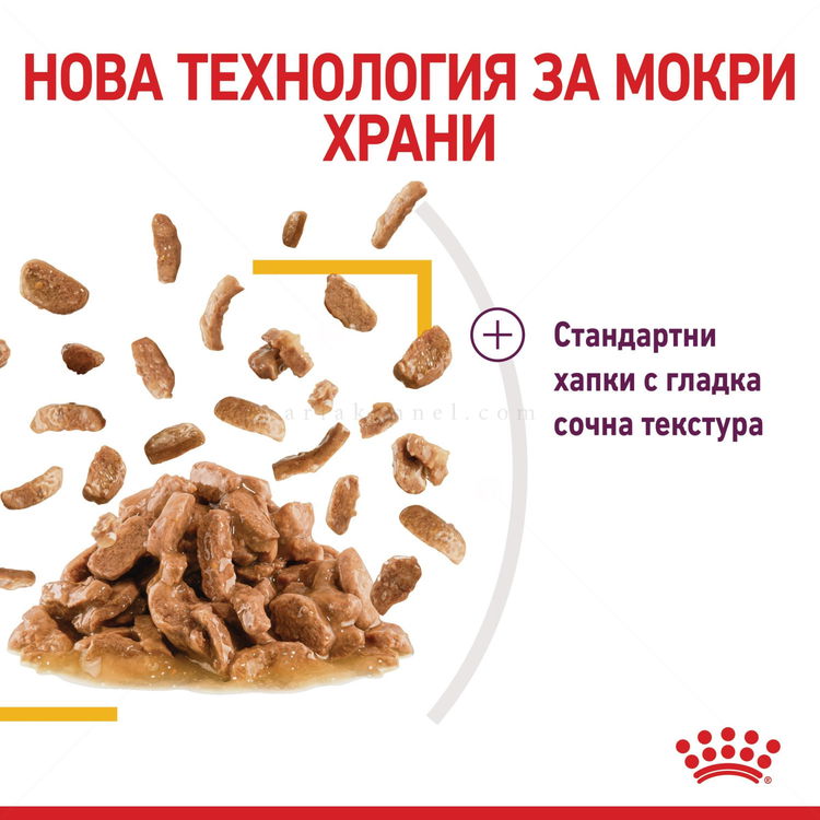 ROYAL CANIN Sensory Taste 85 гр пауч в сос грейви