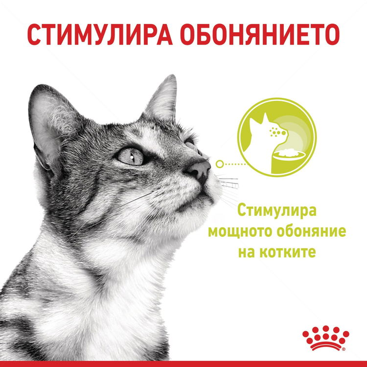 ROYAL CANIN Sensory Smell 85 гр пауч в сос грейви