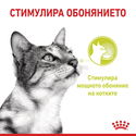 ROYAL CANIN Sensory Smell 85 гр пауч в сос грейви