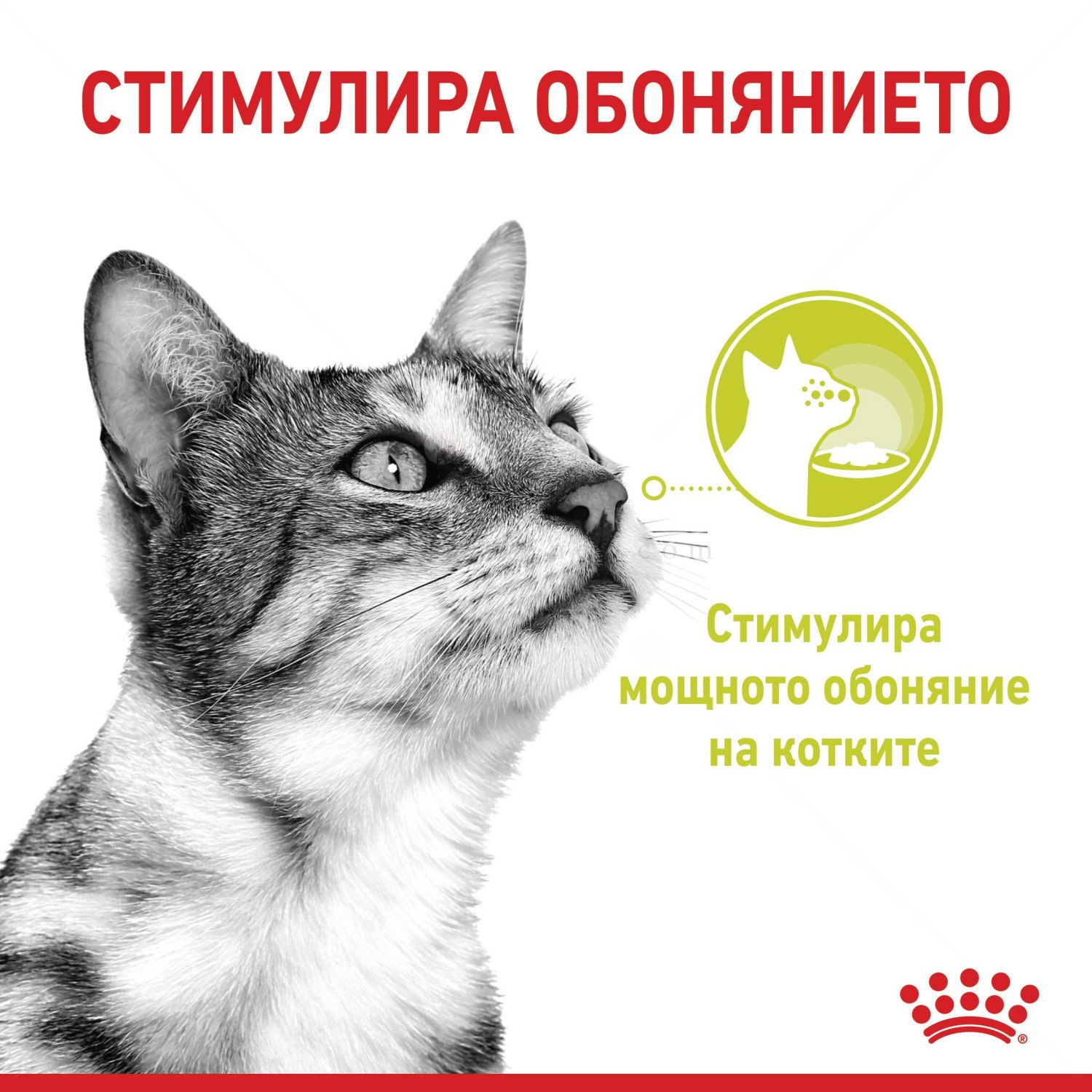ROYAL CANIN Sensory Smell 85 гр пауч в сос грейви