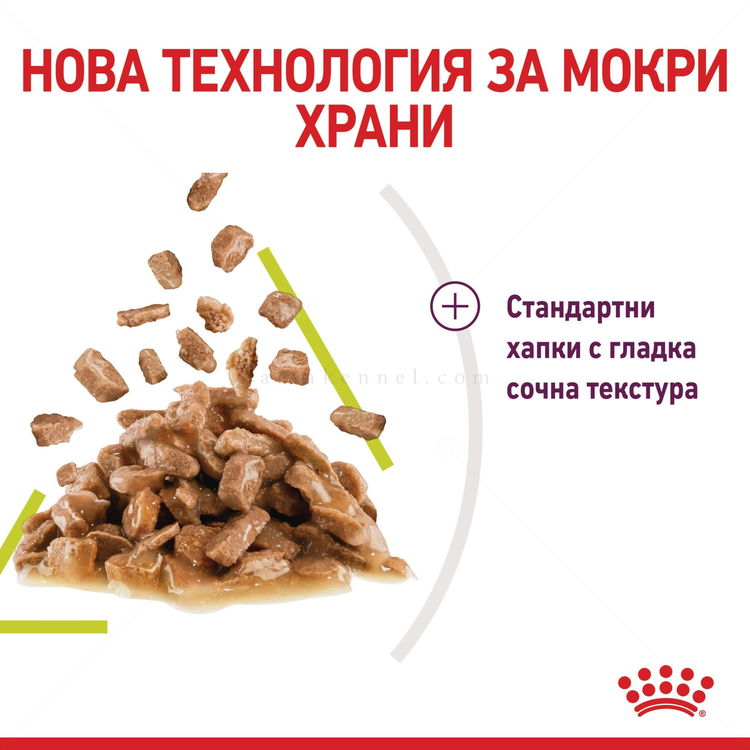 ROYAL CANIN Sensory Smell 85 гр пауч в сос грейви