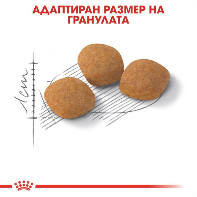 ROYAL CANIN 0.400 кг. Exigent Protein