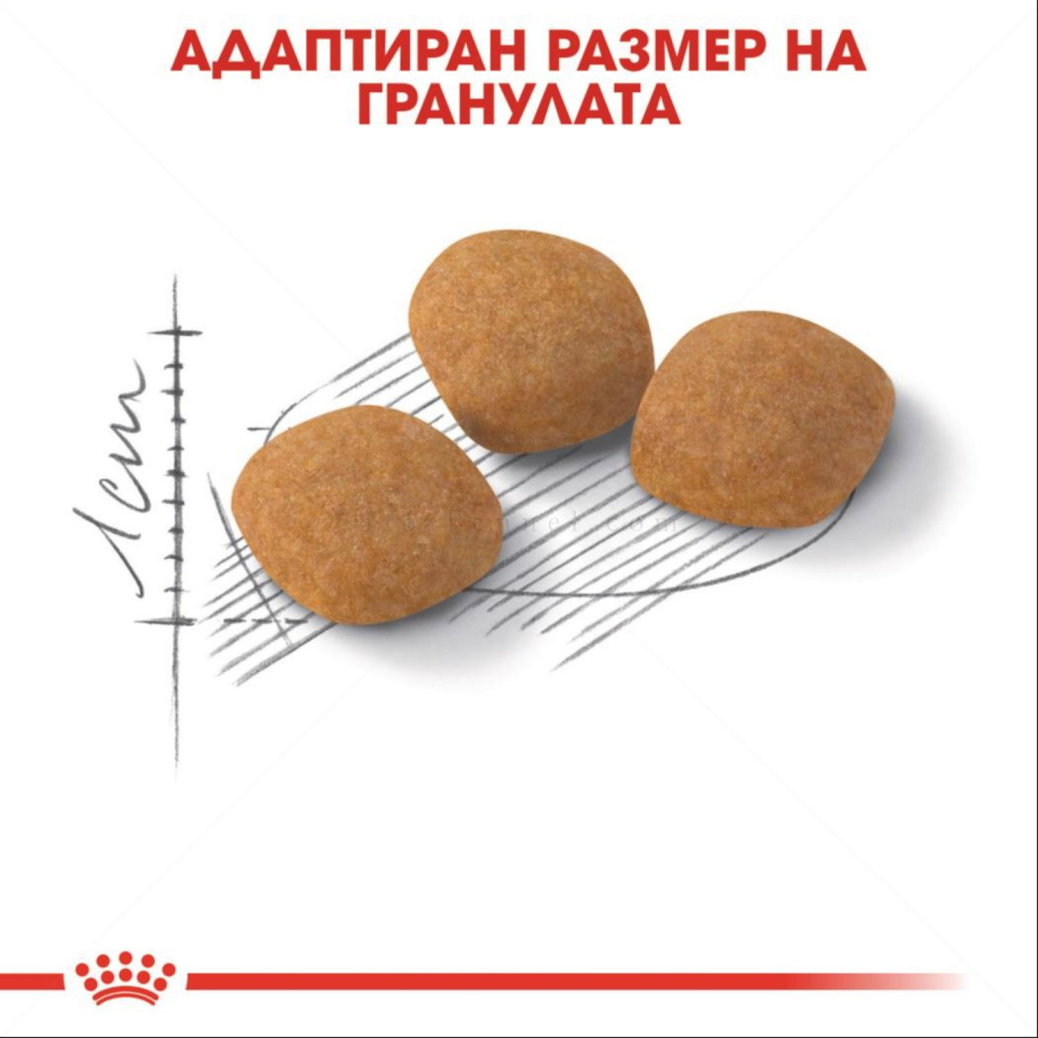 ROYAL CANIN 0.400 кг. Exigent Protein