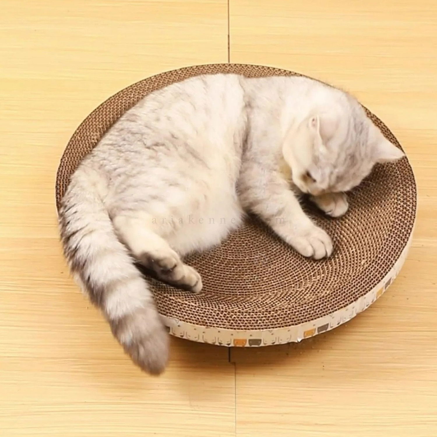 Кръгло драскало от картон "Легло" AMAZONIA, размер L, синьо