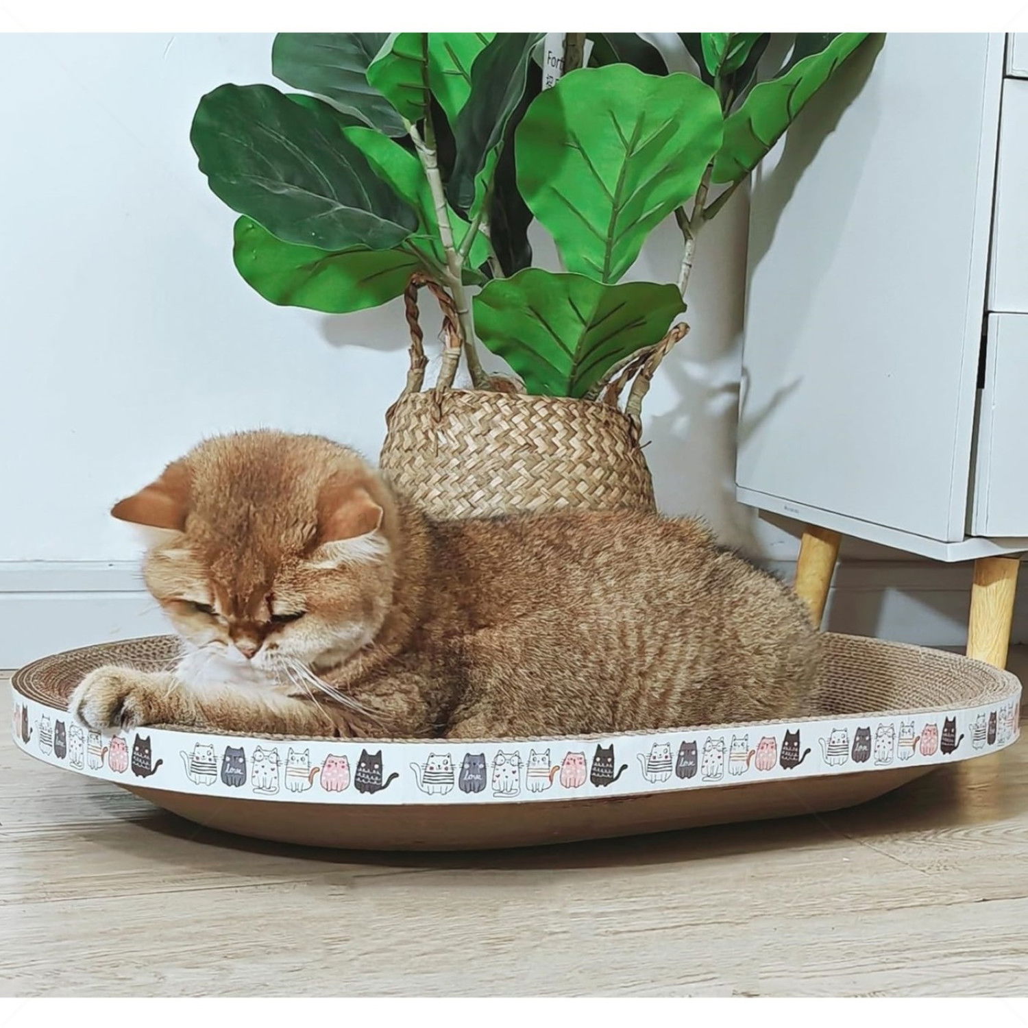 Овално драскало от картон "Легло" с котешка билка AMAZONIA, различни десени