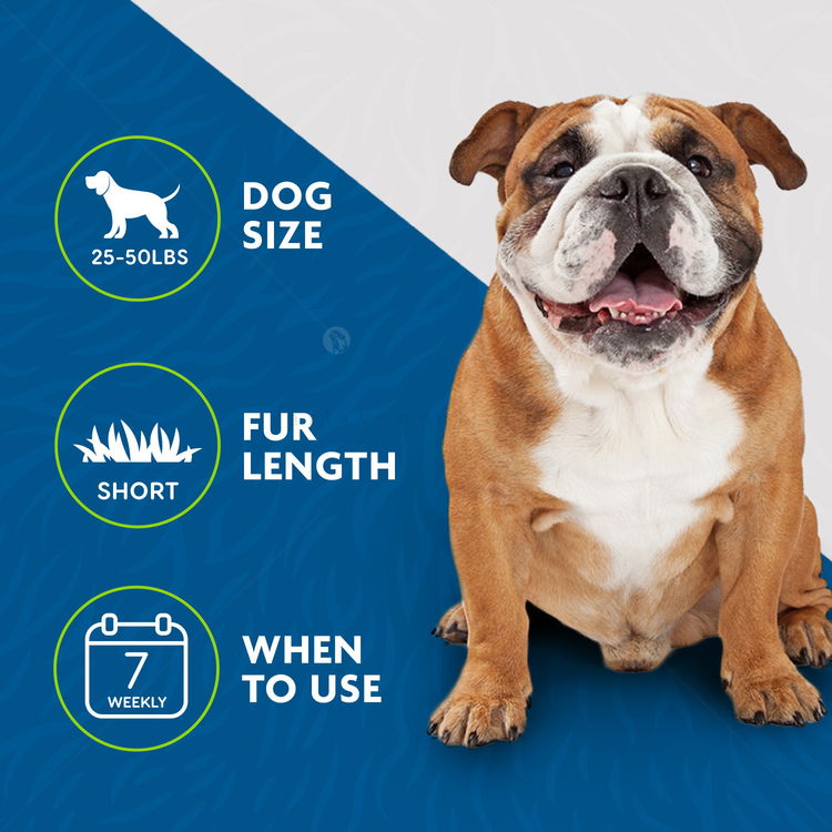 FURminator за средни породи с къса козина