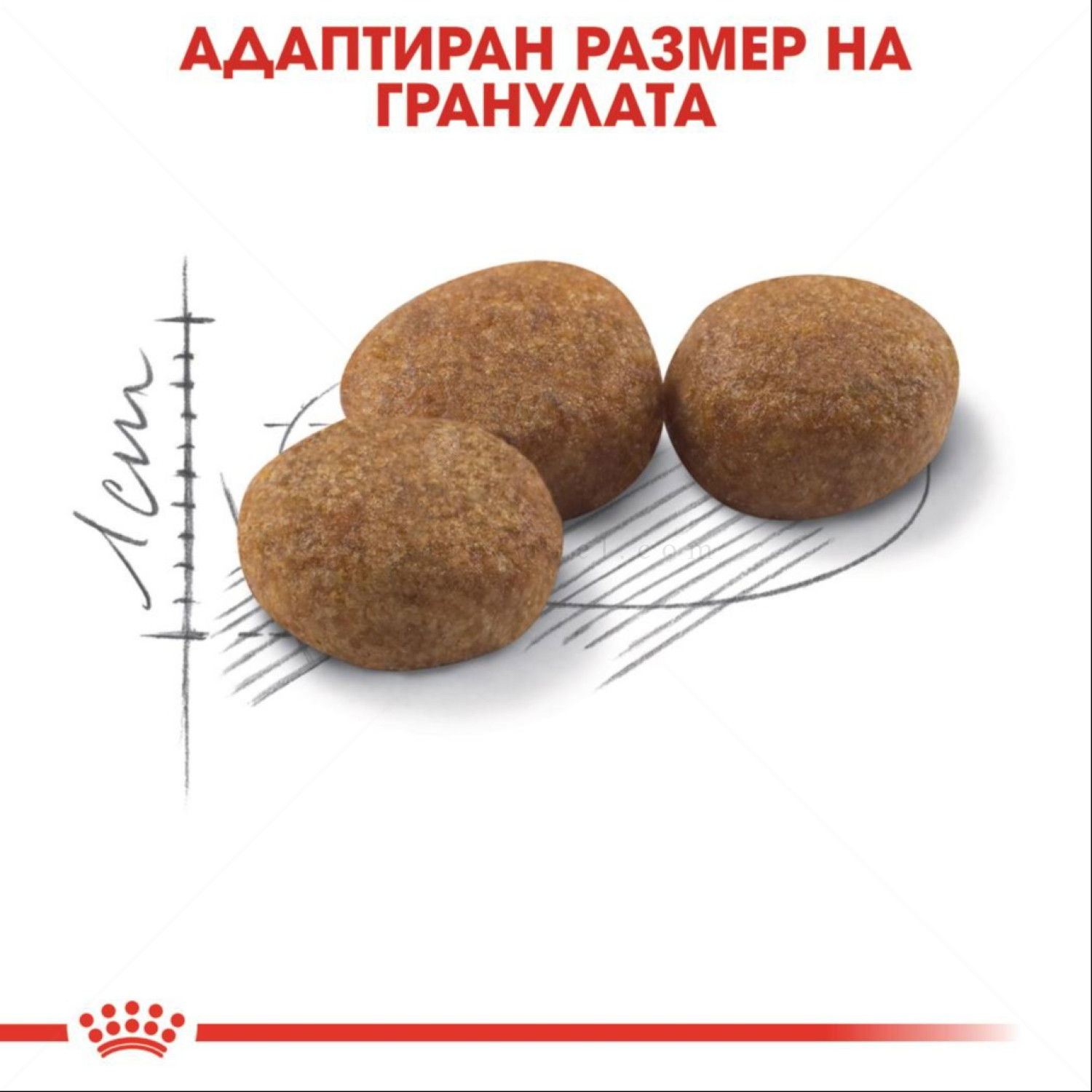 ROYAL CANIN 4 кг. Sterilised