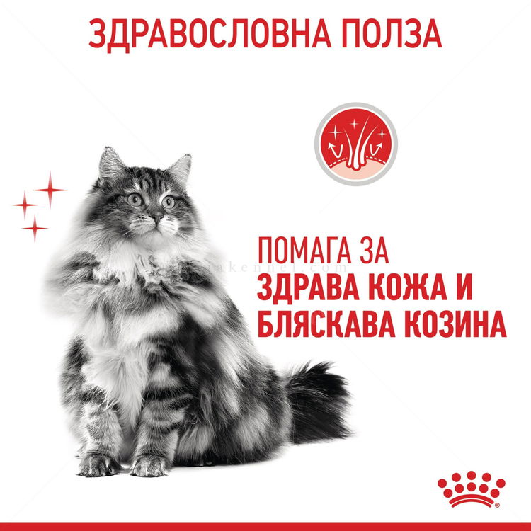 ROYAL CANIN 10 кг. Hair & Skin