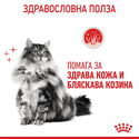 ROYAL CANIN 2 кг. Hair & Skin