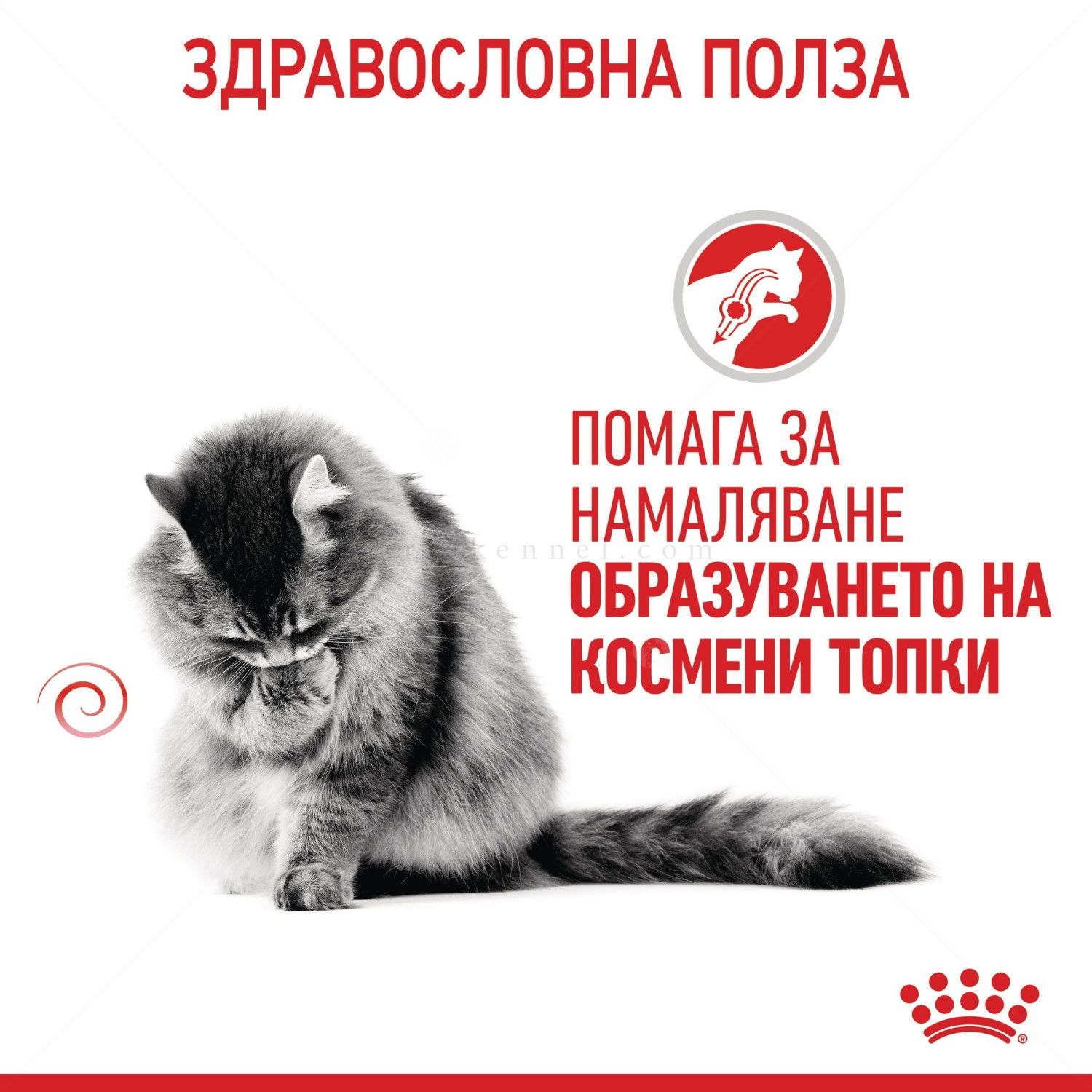 ROYAL CANIN 2 кг. Hairball Care