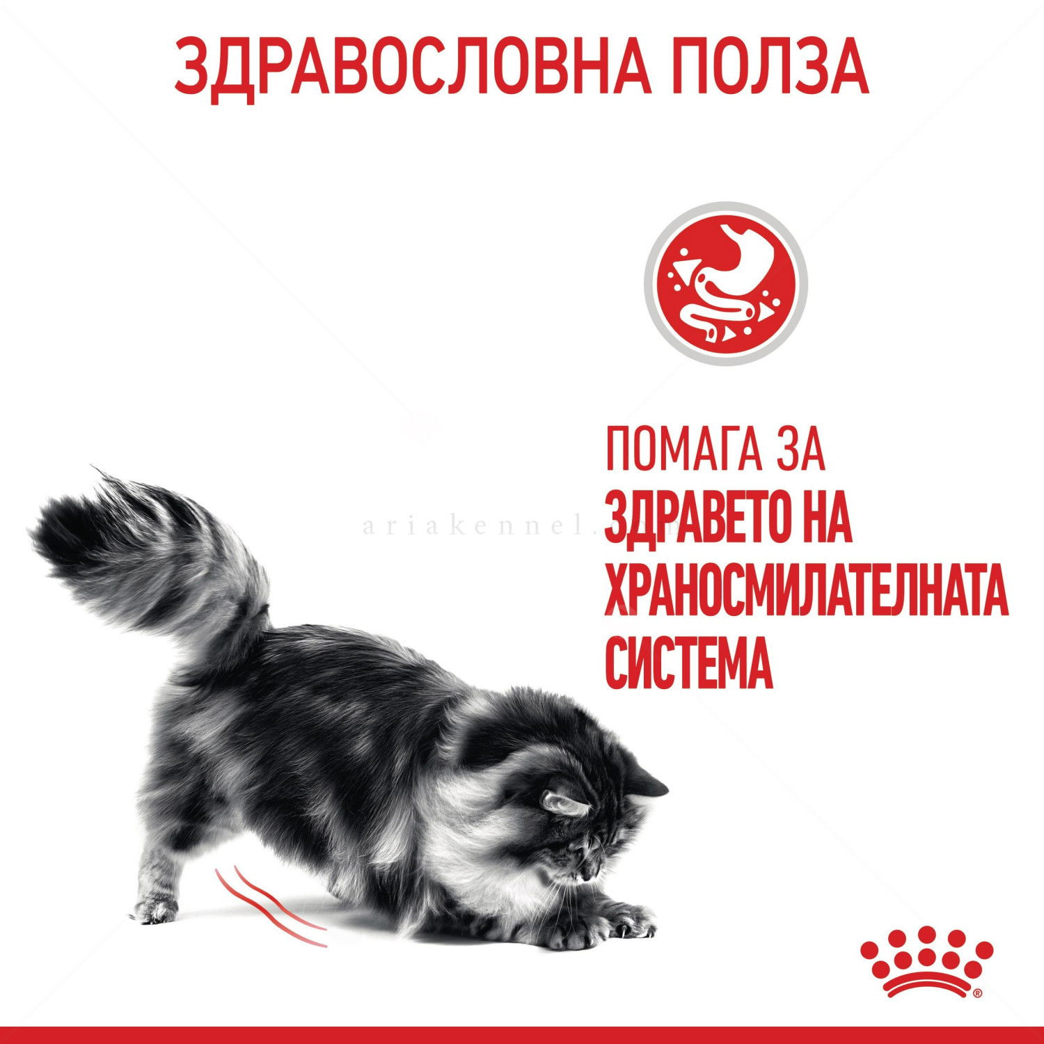 ROYAL CANIN 10 кг. Care Digestive