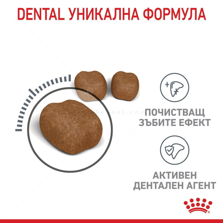 ROYAL CANIN 0.400 кг. Dental Care