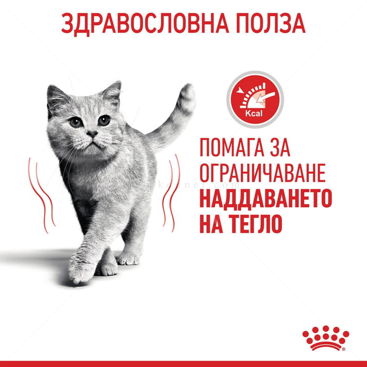 ROYAL CANIN 8 кг. Light Weight Care