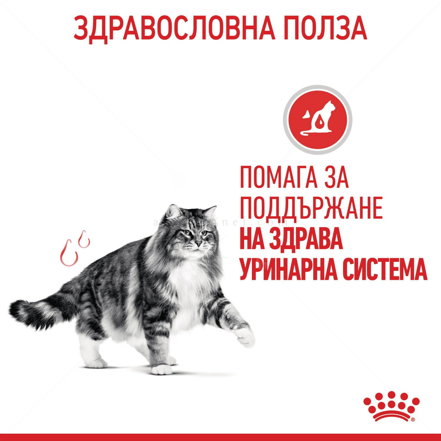 ROYAL CANIN 10 кг. Urinary Care
