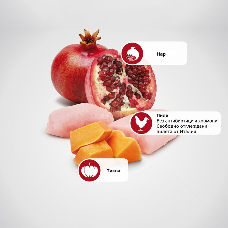 N&D Dog Pumpkin 7 кг Puppy Mini Chicken & Pomegranate